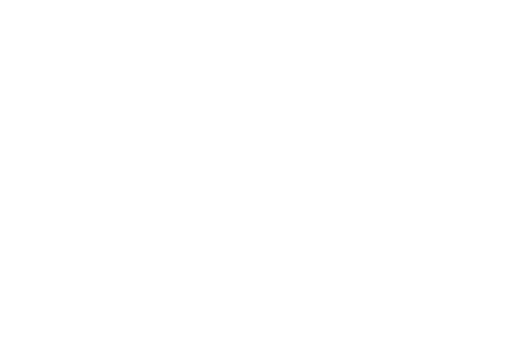 valor-logo-white
